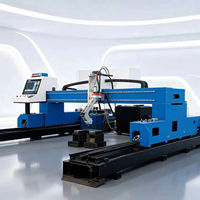 Machine de découpe plasma CNC à portique de haute qualité 6000x2500mm avec torche de découpe plasma et flamme pour usine sidérurgique