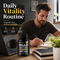 Capsules de Shilajit, Ashwagandha, Rhodiola et Ginseng pour le soutien énergétique, la vitalité, la concentration et l'endurance – Marque privée, OEM, ODM, Fournisseur d'usine