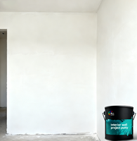 Enduit acrylique professionnel à séchage rapide pour murs intérieurs – Solution gain de temps pour le lissage de grandes surfaces murales