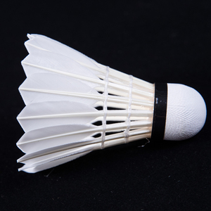 Haute Qualité de <span class=keywords><strong>Plume</strong></span> D'oie 12 Tubes Volants De <span class=keywords><strong>Badminton</strong></span> Voler No.50 pour 75/76 Vitesse Club Sportif - Product Image 4