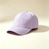 Casquette de baseball unisexe classique en coton à 5 panneaux structurés avec visière incurvée, personnalisable avec broderie et logo imprimé, vente en gros