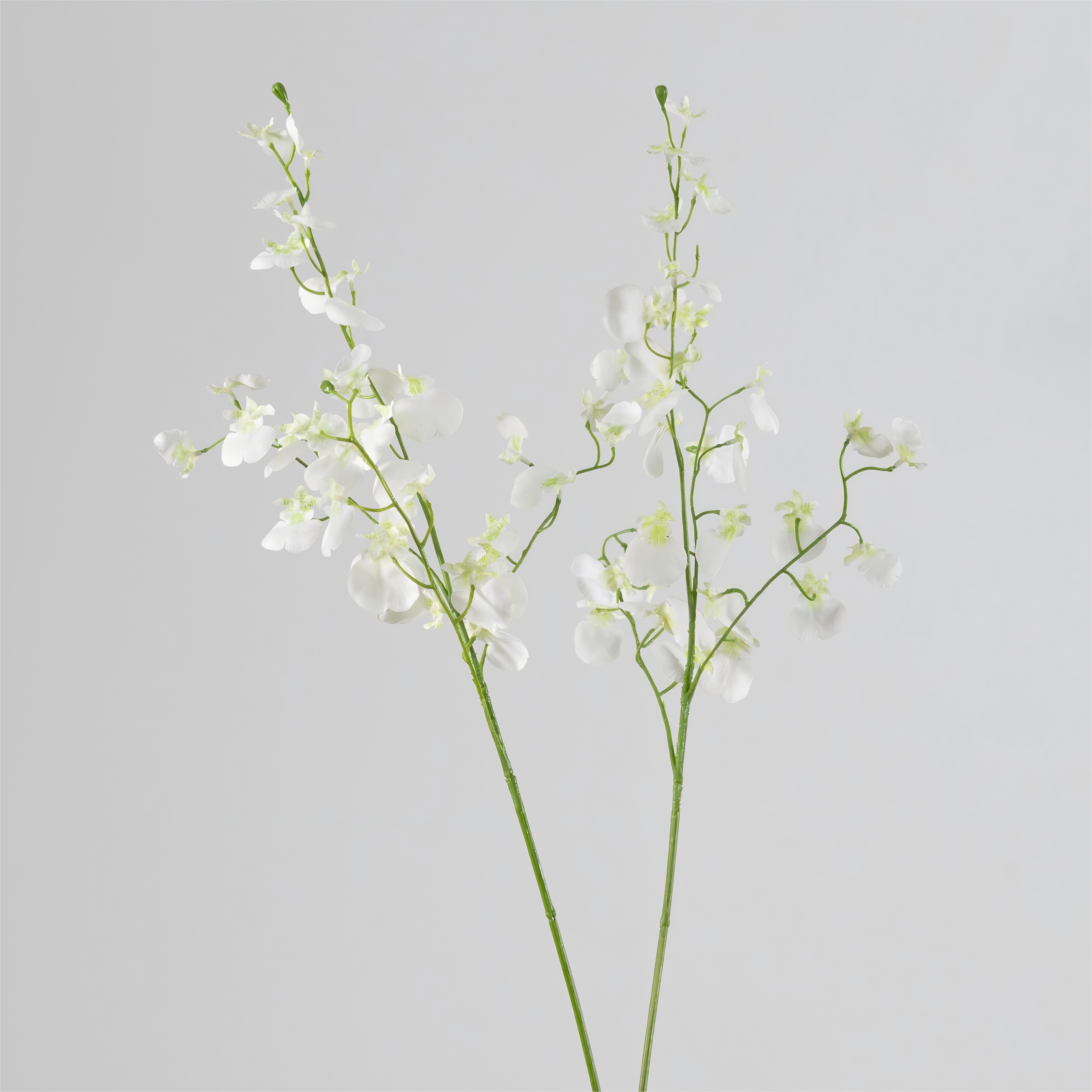 Milk white