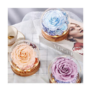 AM-PFA50 fiore Ammy conservato ha rifinito la copertura di vetro del fiore di san valentino regalo creativo della scatola regalo della decorazione di nozze - Product Image 1