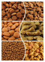 Máquina de procesamiento de alimentos para mascotas, máquina de planta de procesamiento de alimentos para mascotas, 1 tonelada, máquina extrusora de alimentos para perros, gatos, peces, pájaros