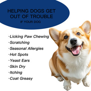 Vente en gros OEM Marque privée Friandises naturelles pour chiens contre les allergies Soins pour la <span class=keywords><strong>peau</strong></span> irritée et les allergies saisonnières - Product Image 5