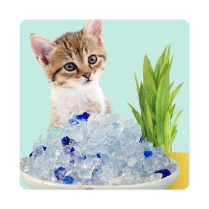 Litière pour <span class=keywords><strong>chat</strong></span> en <span class=keywords><strong>cristal</strong></span> de silice sans poussière, très absorbante, de qualité naturelle et non agglomérante, bon marché - Product Image 4