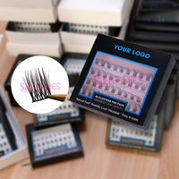 SJ LASHES vente en gros cluster 3D et individuel C/D Curl Fox Cat Eye Eyelash Kit cils vente en gros marque privée