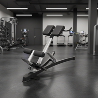 Chaise romaine pliable en acier pour le sport et les loisirs – Entraînement efficace de la taille et des hanches – Développe les muscles