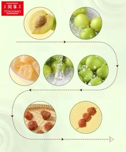 Prugne al Gusto Acido 100% Naturali Fresche e Salutari Marca TONGXIANG, Confezionate Singolarmente da 30g, Prezzo Diretto di Fabbrica - Product Image 6