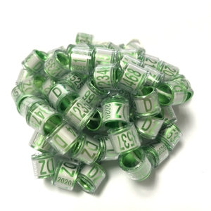 Postduif ringen clip 2020 - Product Image 3