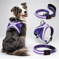 Harnais pour chien Qcool en nylon durable, collier lumineux, laisse d'entraînement, haute visibilité, ensemble de sécurité pour la promenade du chien en soirée