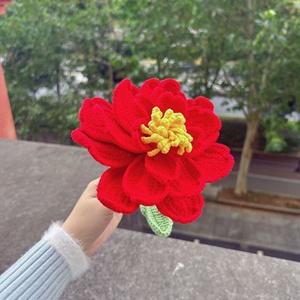 Fatto a mano uncinetto sovradimensionato peonia Bouquet simulazione filati <span class=keywords><strong>di</strong></span> <span class=keywords><strong>fiori</strong></span> tessitura per dare regali ad amici e madri <span class=keywords><strong>fiori</strong></span> - Product Image 4
