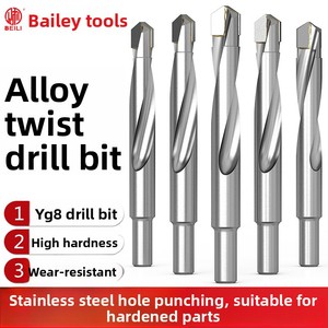 <span class=keywords><strong>Foret</strong></span> hélicoïdal industriel BEILI en carbure YG8 pour l'<span class=keywords><strong>acier</strong></span> inoxydable, l'<span class=keywords><strong>acier</strong></span> d'outillage, l'alliage d'aluminium et le perçage de l'<span class=keywords><strong>acier</strong></span> <span class=keywords><strong>trempé</strong></span> - Product Image 2