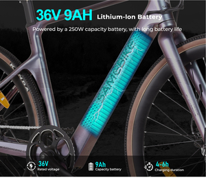 Batería de Litio y Magnesio OEM de Fábrica de 250W y 36V para Bicicleta Urbana - Product Image 3