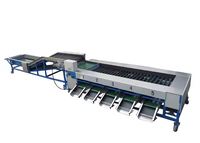 Automatische PLC aardappel-, knoflook-, kersen-, pruimen-, dadels-, cashewnoten- en ananas-sorteer- en -gradeermachine voor groenten en fruit