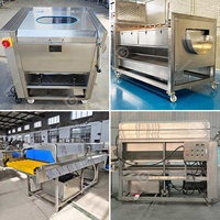 Ultrasoon beluchtingsapparaat voor mango's, aardappelen, gember, fruit en groenten (Wastanklijn)