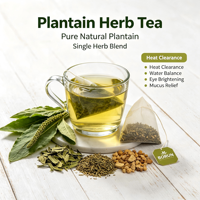 Thé au plantain 120g (2g*60 sachets) Borun – Dépuratif, diurétique, expectorant, anti-toux, rafraîchit le sang, détoxifie le foie, favorise la santé oculaire, stoppe la diarrhée 24