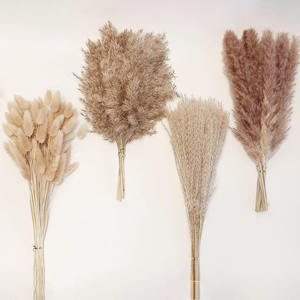 Ramo de Hierba de <span class=keywords><strong>Pampa</strong></span> Seca Natural al por Mayor - Decoración Ecológica Preservada para Bodas y Hogar con Hierba Cola de Conejo - Product Image 4