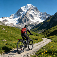 Kit de remplacement de moteur de vélo électrique Reliago C29-MTR pour vélo électrique Duotts C29 - Acier allié, performance durable