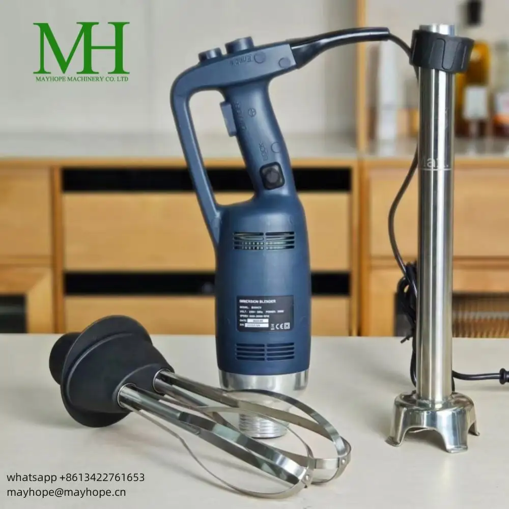 Tùy chỉnh của nhãn hiệu tay máy xay sinh tố nước trái cây Mixer Set Stick điện cho nhà bếp động cơ công nghiệp thương mại ngâm