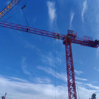 Grúa Torre de Construcción sin Plataforma HAISHAN 1.5T 18.7M con Motor, Caja de Cambios y Engranajes QTP20-HS2506P