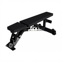 Banc de musculation commercial réglable de type échelle pour l'entraînement du dos, des triceps et des bras - Construction en acier inoxydable