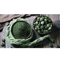 Comprimés de spiruline OEM 500 mg/250 mg riches en protéines végétales, vitamines et prébiotiques, complément sans gluten
