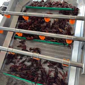 Système continu de convoyeur automatique 3 mètres 4 mètres 5 mètres 6 mètres SUS304 <span class=keywords><strong>Machine</strong></span> à <span class=keywords><strong>laver</strong></span> les fraises fraîches à bulles d'eau - Product Image 3