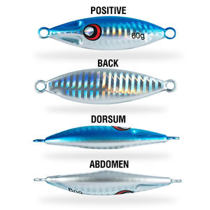 Big Jig Fishing Lure pesi 10g-60g Jigs <span class=keywords><strong>pesca</strong></span> <span class=keywords><strong>esche</strong></span> di acqua salata in metallo Bass Jig Isca artificiale pesce finto Glitter olografico - Product Image 4