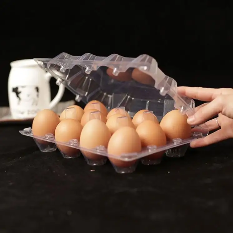 YL all'ingrosso trasparente PVC/PET plastica uovo di quaglia scatola di cartone vassoio imballaggio con 12 fori