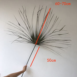 Feuilles de palmier séchées naturelles, décoration de mariage de maison de haute qualité, V194, en vente - Product Image 2