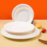 Assiette de salle à manger jetable biodégradable pour gâteau servant des plats et des assiettes écologiques