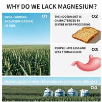 En stock, vente chaude : Capsule de magnésium 12-en-1, minéraux complexes, fabrication OEM disponible
