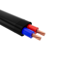 Câble électrique plat THHN à conducteur en cuivre gainé de nylon basse tension 4mm 6mm 10mm 16mm