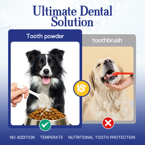 <span class=keywords><strong>El</strong></span> polvo personalizado para Limpieza de dientes de mascotas ayuda a limpiar la pigmentación de la superficie de los dientes de los perros y ayuda a mantener la higiene bucal - Product Image 4