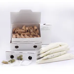 200pcs Pastry Maker Sweet Cookies Suppliers Ricotta Cheese Cream Filling Biscuits Wholesale For Export
