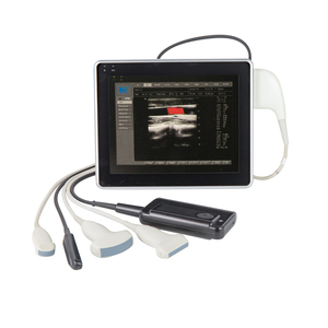 MT mesin <span class=keywords><strong>Ultrasound</strong></span> Kedokteran Hewan portabel, diagnostik <span class=keywords><strong>Digital</strong></span> <span class=keywords><strong>Ultrasound</strong></span> - Product Image 4
