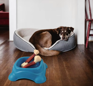 Cómo vender bajo MOQ perro juguete hueso forma mordedura resistente masticar juguetes para perro - Product Image 6