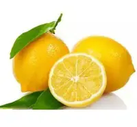 Citron frais de haute qualité, 20 pièces, formes d'orange, de citron, de chinois, respectueux de la nature
