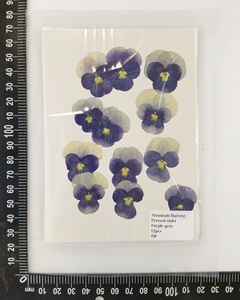 12 pz/sacchetto Segnalibri Artigianali con Fiori di <span class=keywords><strong>Viola</strong></span> Pansy Essiccati Naturali in Resina Epossidica per Sigilli di Cera - Product Image 4