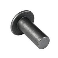 Rivets aveugles ronds en acier inoxydable poli, plaqués zinc, tailles personnalisées, rivets industriels, attaches