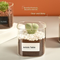 Vase moderne créatif en verre pour plantes succulentes, pot de fleurs, pot en verre, pot à bougie carré pour micro-paysage, vente en gros