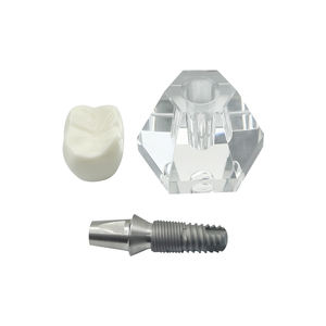 Modèle de <span class=keywords><strong>dent</strong></span> unique pour implant dentaire, modèle de prothèse dentaire en cristal, modèle de <span class=keywords><strong>couronne</strong></span>, structure de typodont pour la formation, la pratique, l'enseignement et l'affichage - Product Image 3