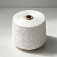 Heavy Duty High Tenacity 16S/5 Ply 100% Polyester Spun Yarn with Twist for Knitting Sewing Fabric Gloves Socks