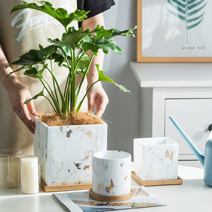 Maceta de orquídeas y mariposa nórdica, cerámica creativa de lujo, <span class=keywords><strong>con</strong></span> bandeja, gran oferta - Product Image 2
