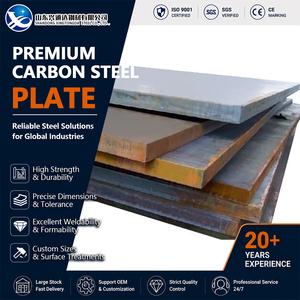 Bending S235JR Cold Rolled Cold Rolled 10mm 2000mm Shot Blasting Carbon Steel Sheet for Bridge Fabrication - Product Image 1