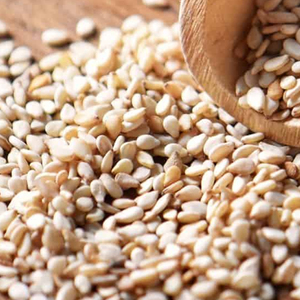 Semillas de Sésamo Puras, Variedad Blanca Natural, Venta al Por Mayor, Ingrediente a Granel para Cocinar, Hornear, Tahini, Condimento y Procesamiento de Alimentos - Product Image 6
