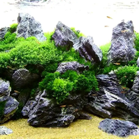Pierre décorative d'aquarium Qinglonglong pierre d'aménagement paysager décapage et sans décapage