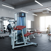 ST-4055 Banc de musculation pour exercices des bras, idéal pour les curls biceps et triceps, avec système de sélection de poids par broches - Vente chaude