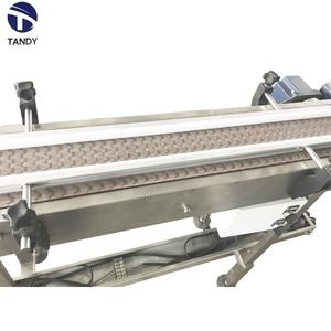 <span class=keywords><strong>China</strong></span> Fabrikant Lage Prijs Lamelt Kettingtransporteur Voor Toepassing Van Voedselplanten - Product Image 3